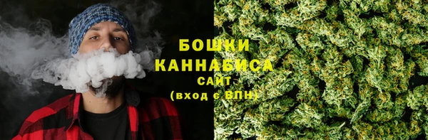 прущие грибы Арсеньев