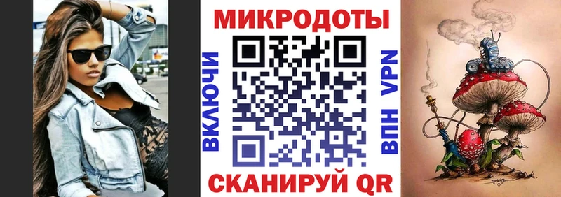 Галлюциногенные грибы Psilocybe купить закладку mega ссылка Холм